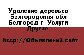 Удаление деревьев - Белгородская обл., Белгород г. Услуги » Другие   